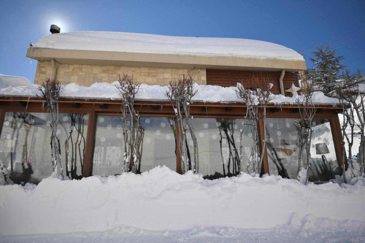 Eleven Hotel Mzaar Kfardebian Dış mekan fotoğraf